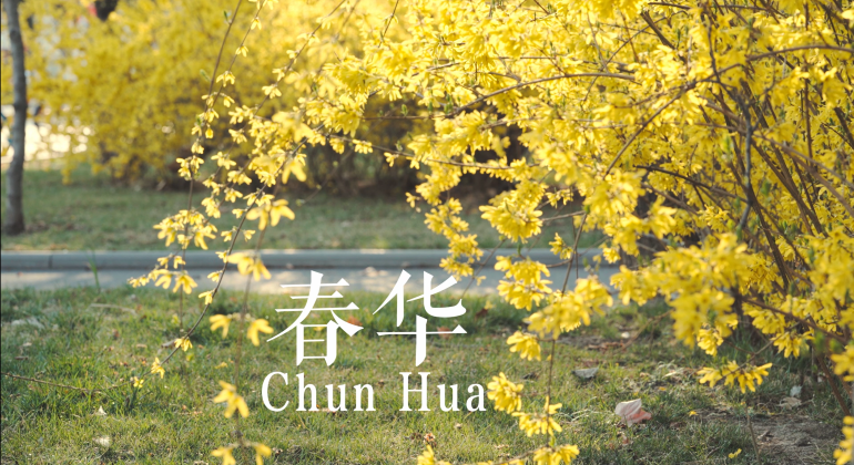 天大四季——春华